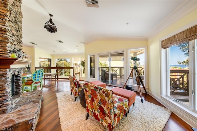 interior space with lofted ceiling, a stone fireplace, and dark wood-type flooring