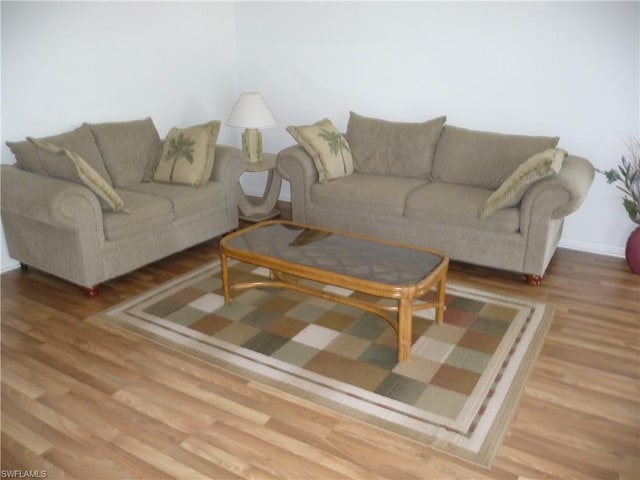 living room with wood-type flooring