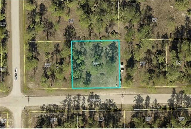 3403 E 23rd Street, Alva FL, 33920 land for sale