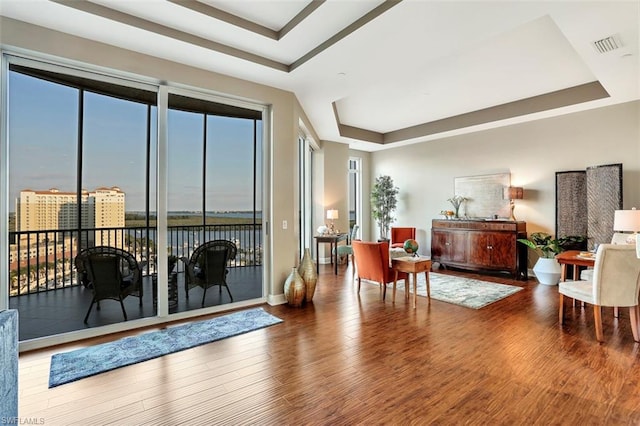 living room featuring a wealth of natural light, a tray ceiling, and dark hardwood / wood-style flooring