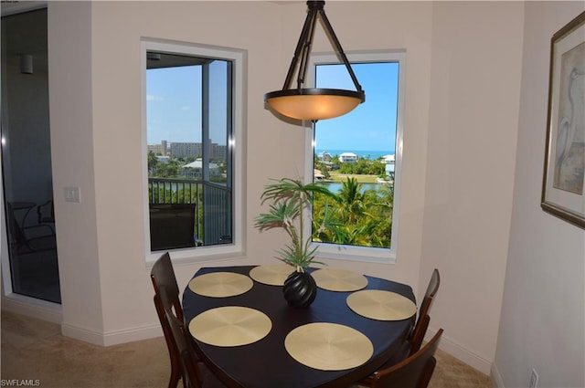 dining area with light colored carpet