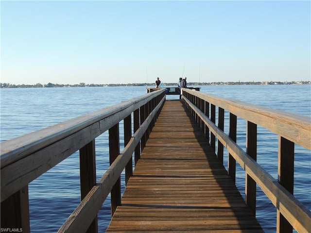 dock area with a water view