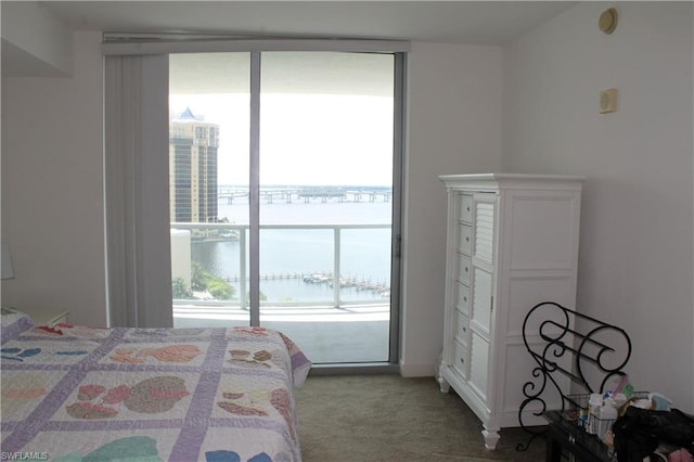 carpeted bedroom featuring access to exterior and multiple windows