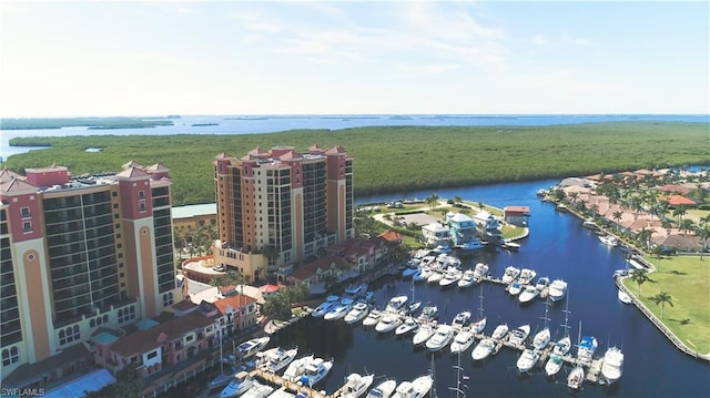 drone / aerial view with a water view