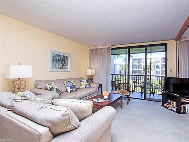 living room featuring light carpet and a textured ceiling