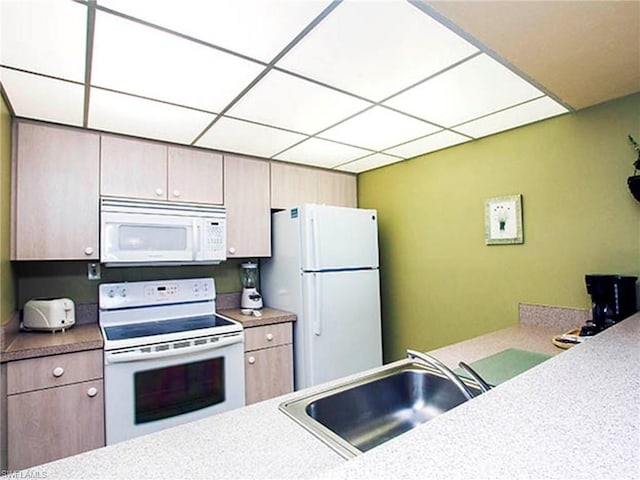 kitchen with white appliances, a drop ceiling, and sink