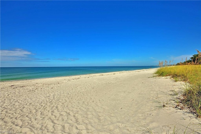 water view featuring a beach view