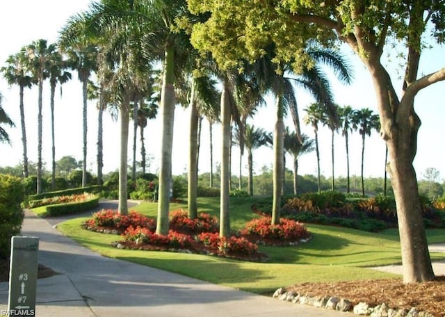 surrounding community featuring a lawn