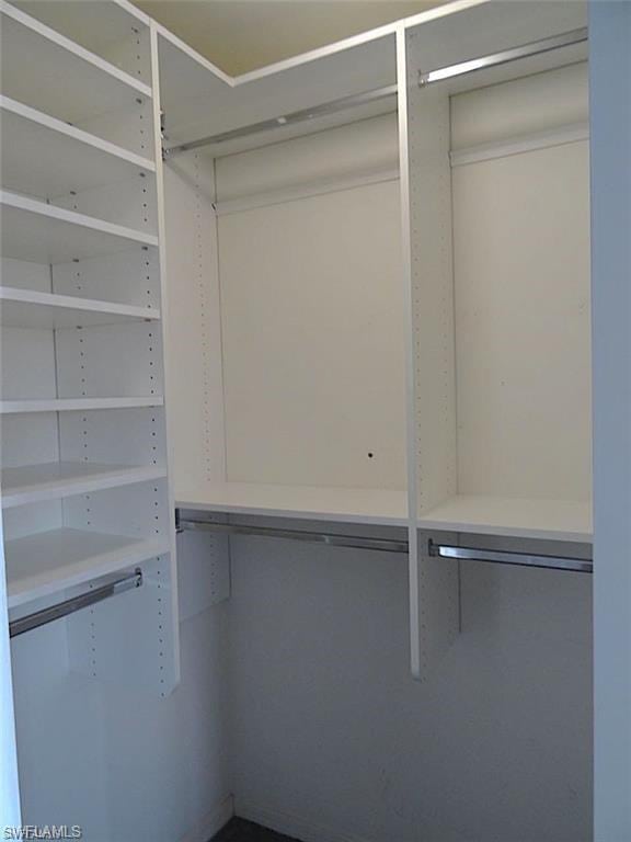 view of walk in closet