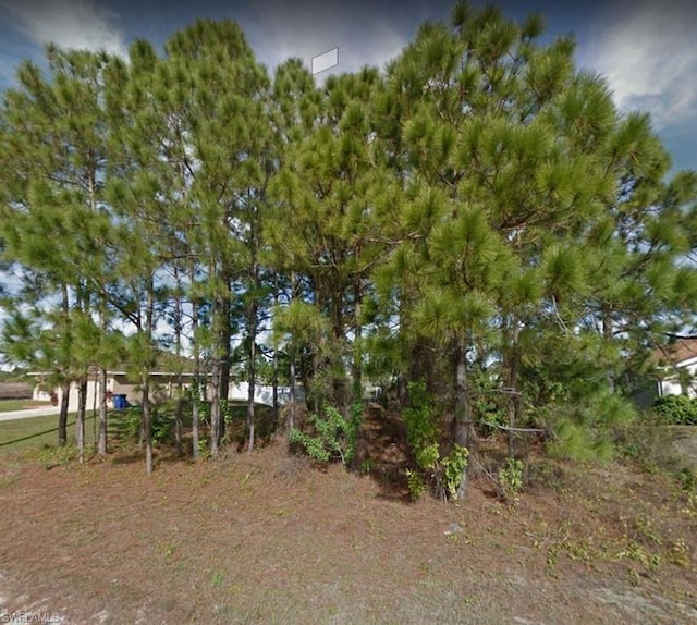 2804 19th Street Sw, Lehigh Acres FL, 33976 land for sale