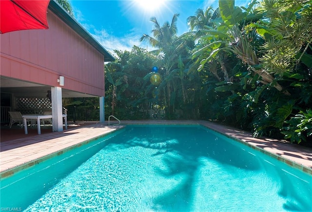 view of swimming pool