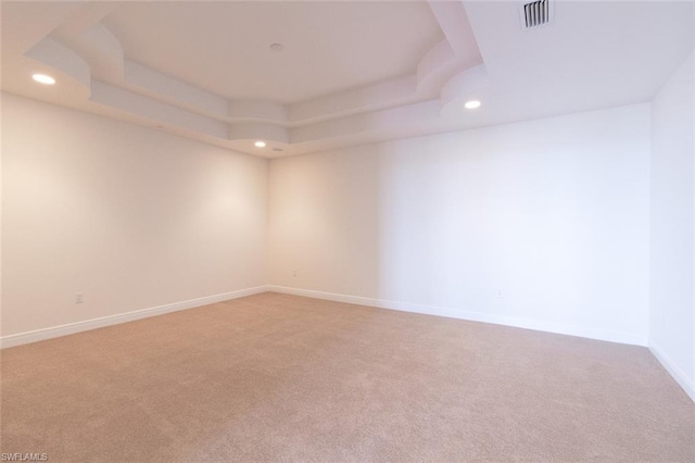 empty room with light carpet and a raised ceiling