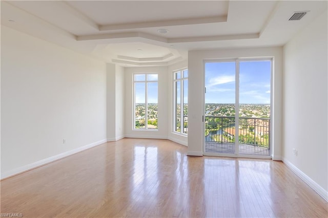 empty room with a tray ceiling and light wood-type flooring