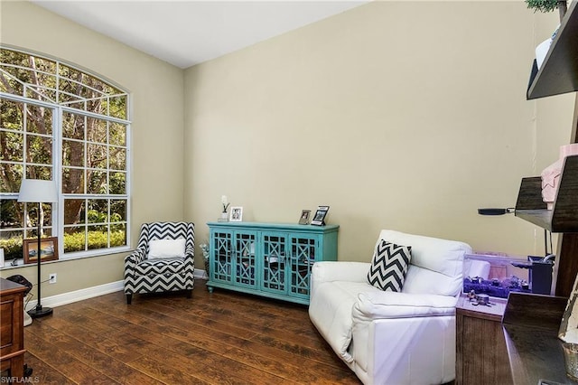 living area with dark hardwood / wood-style flooring