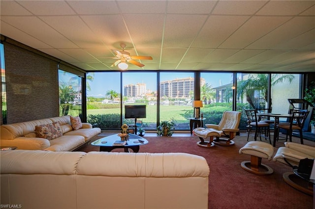 carpeted living room featuring expansive windows, ceiling fan, and a drop ceiling