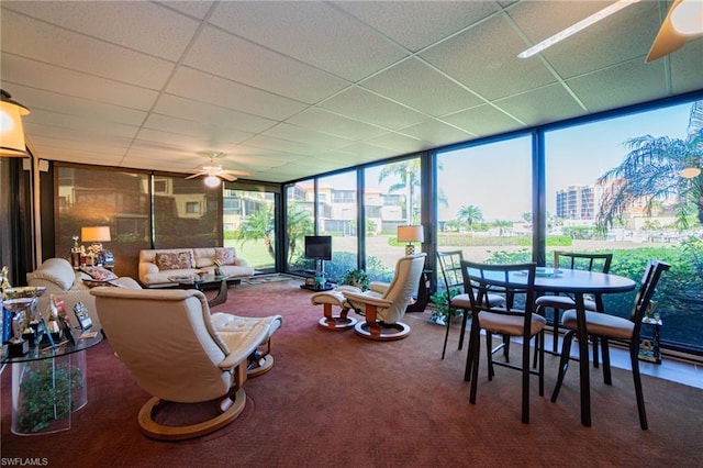 living room with ceiling fan, a drop ceiling, floor to ceiling windows, a healthy amount of sunlight, and dark colored carpet