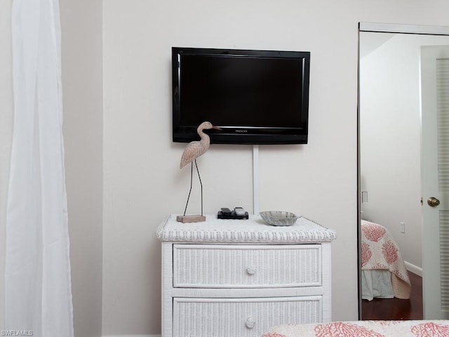 room details with hardwood / wood-style floors and vanity