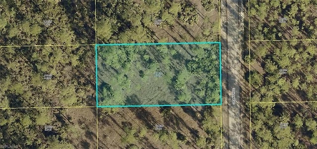 2219 Grant Avenue, Alva FL, 33920 land for sale