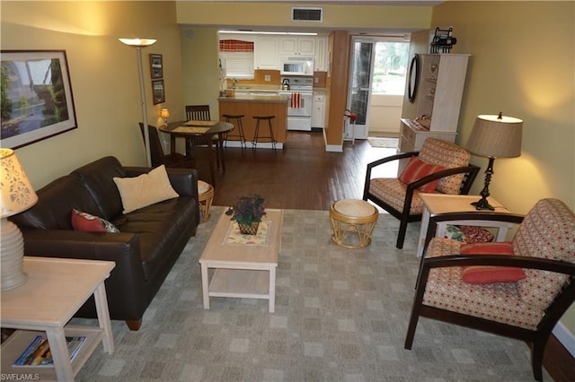 living room with dark hardwood / wood-style floors and sink