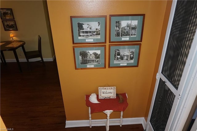 room details featuring dark hardwood / wood-style flooring