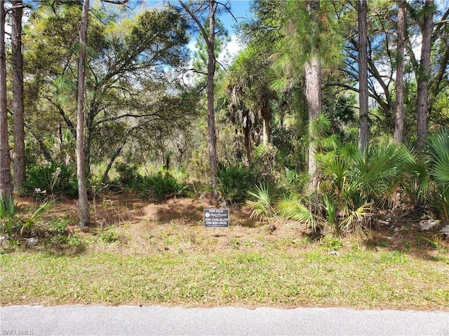 Wildgoose Drive, North Port FL, 34291 land for sale