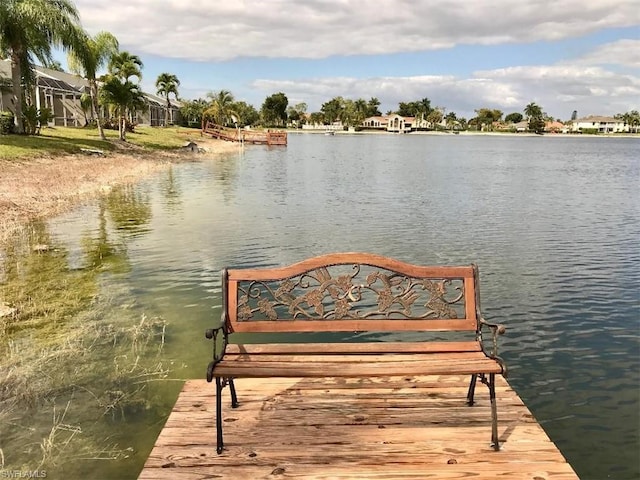 dock area with a water view