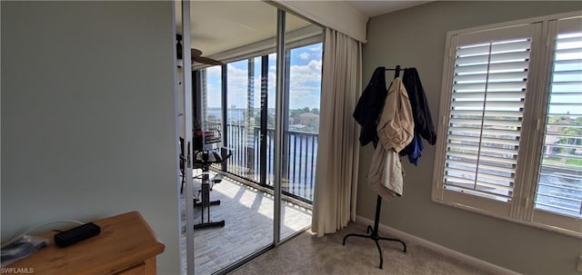 entryway featuring light carpet and plenty of natural light