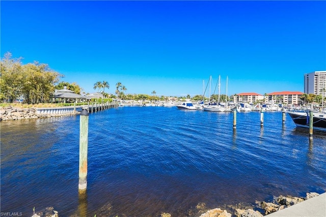 dock area with a water view