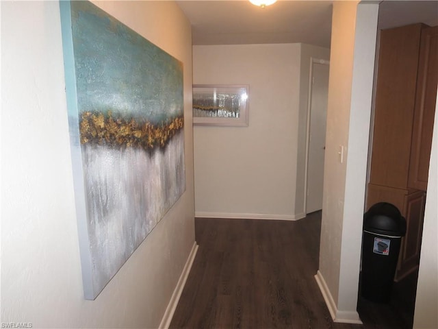 hall featuring dark hardwood / wood-style floors