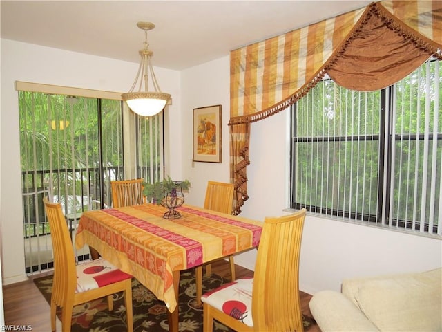 dining room featuring hardwood / wood-style flooring