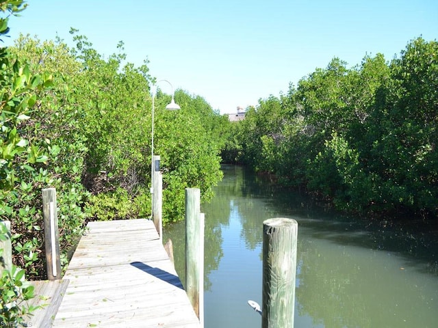 dock area featuring a water view