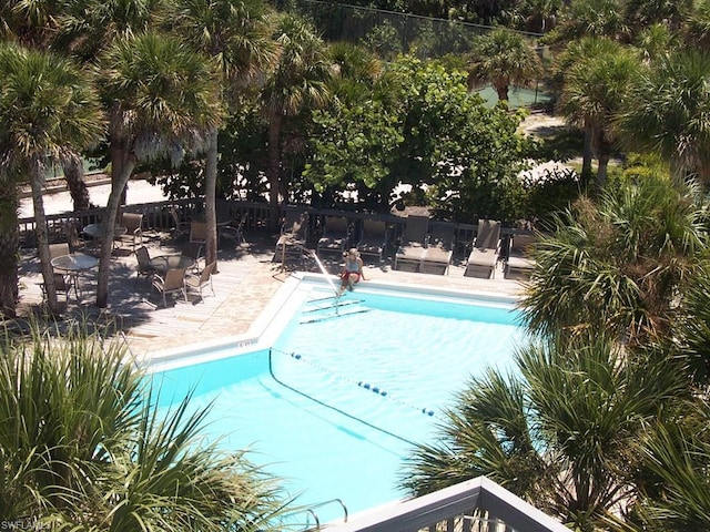 view of pool featuring a patio