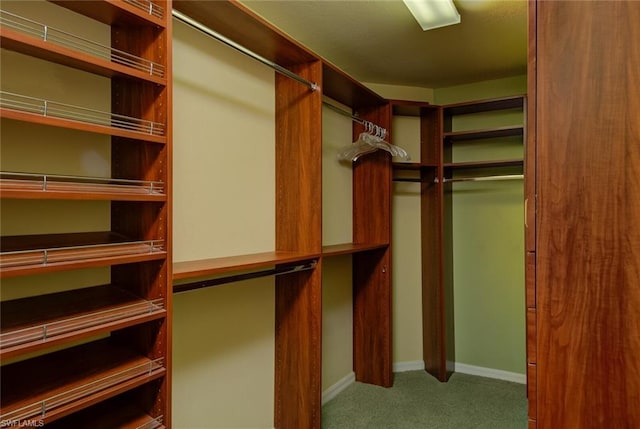 walk in closet featuring dark carpet