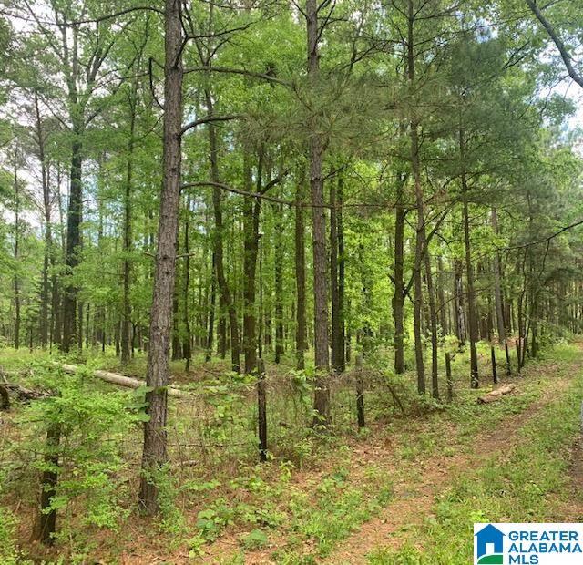 6330 Early Dr, Bessemer AL, 35023 land for sale