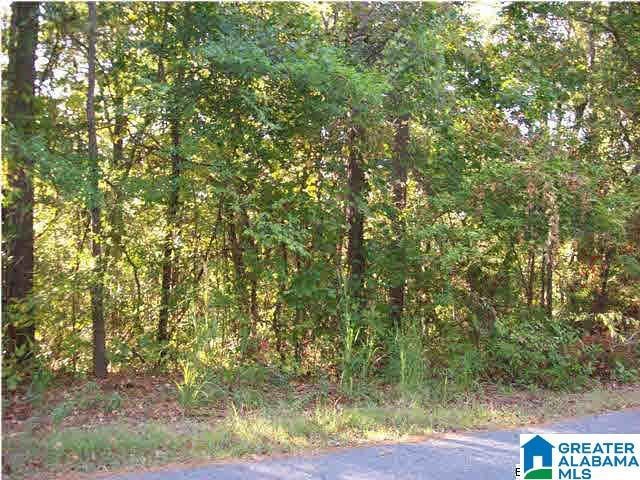 0 Haven Cir Unit 39, Riverside AL, 35135 land for sale