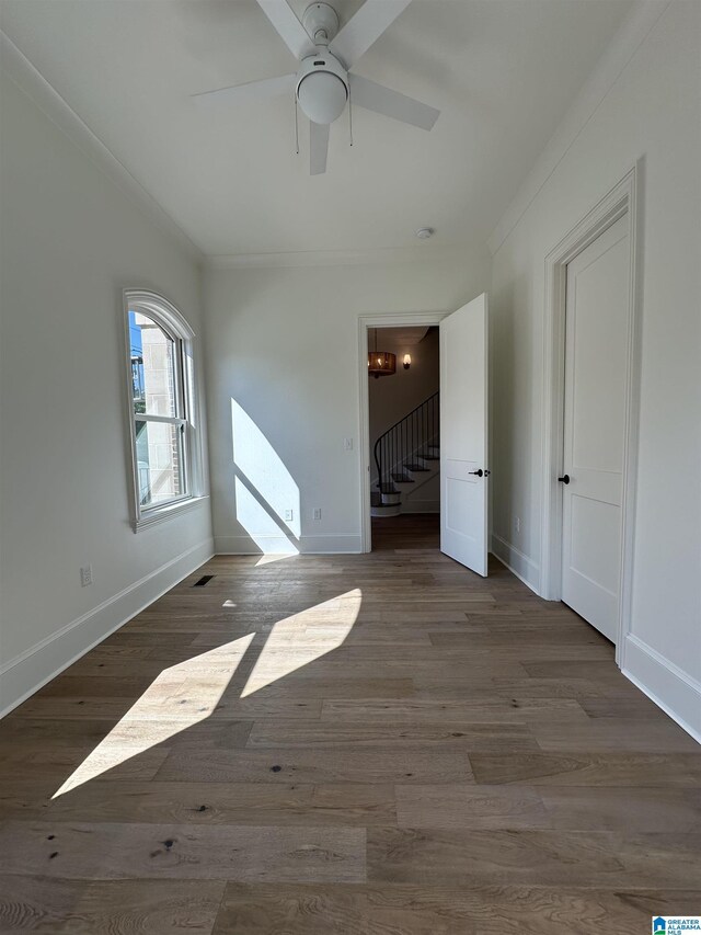 spacious closet featuring dark wood-type flooring