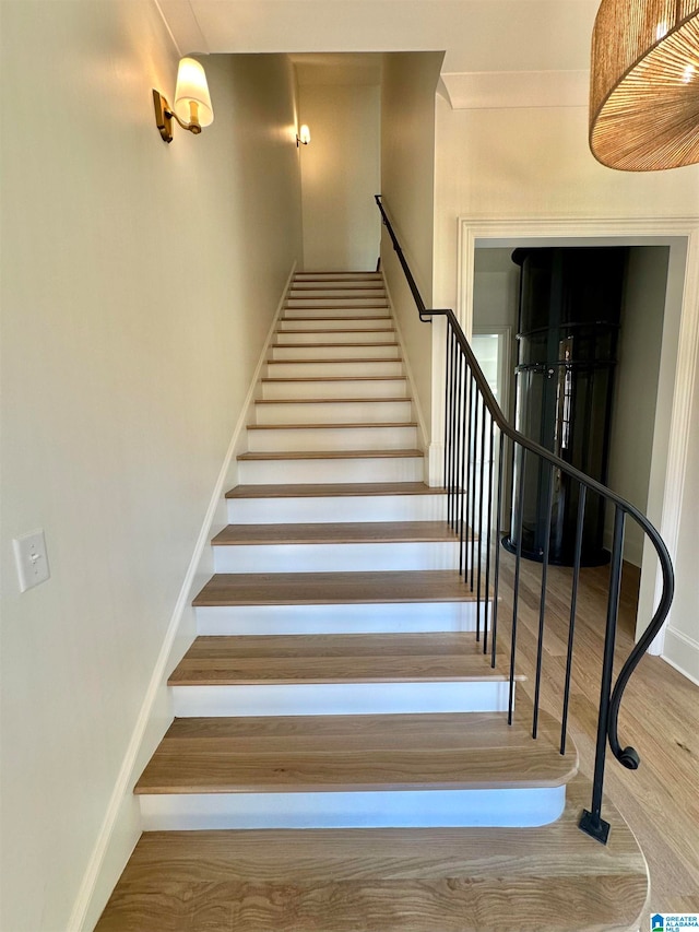 staircase with wood-type flooring