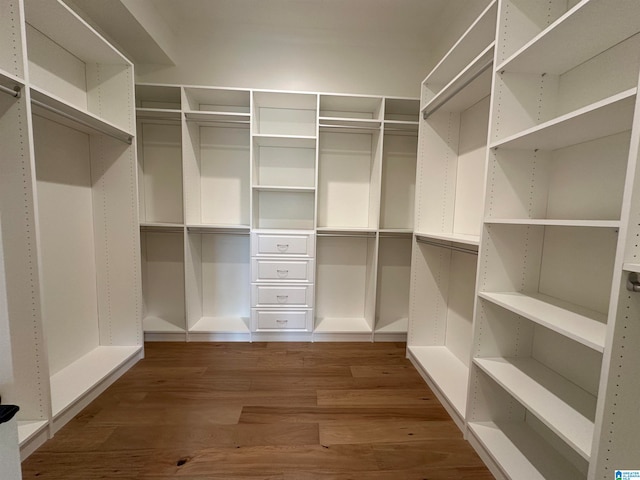 walk in closet with dark hardwood / wood-style flooring