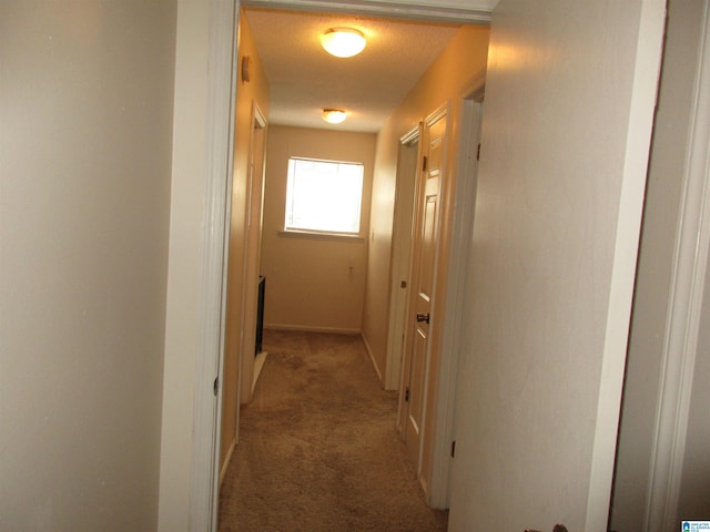 hallway with dark colored carpet