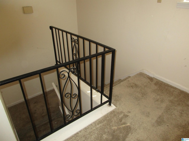 stairs featuring carpet flooring