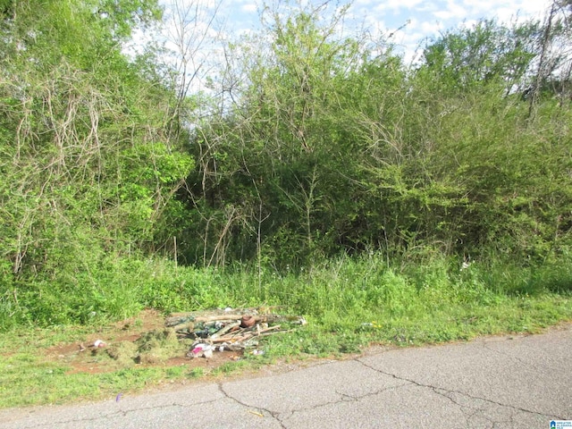 408 Raimund Ave Unit 6, Birmingham, AL 35020