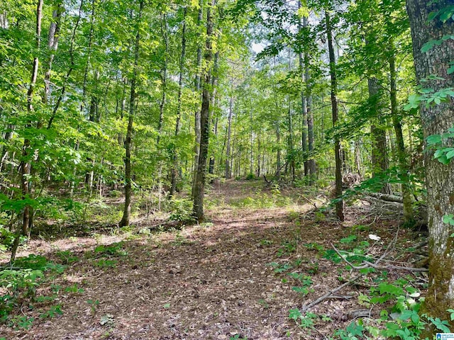 00 Sportsman Lake Rd Unit 1, Springville AL, 35146 land for sale