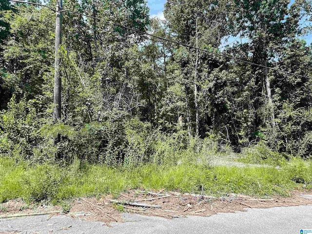 0 Wilson Glen Dr Unit 19, Wilsonville AL, 35186 land for sale