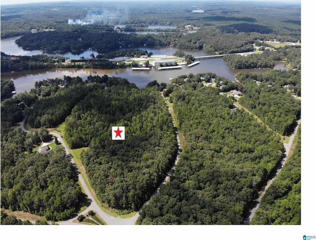 Listing photo 2 for 16/-ACRES Misty Ln Unit 0, Wedowee AL 36278