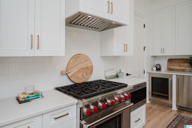 kitchen with white cabinetry, tasteful backsplash, ventilation hood, light hardwood / wood-style flooring, and stainless steel appliances