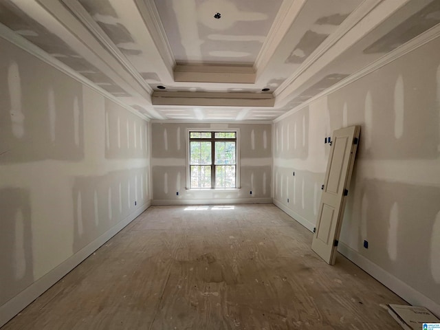 spare room featuring a tray ceiling and crown molding