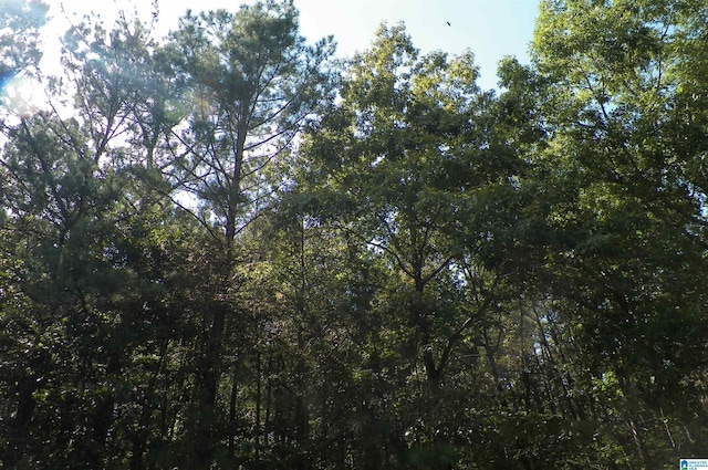 9138 Thermal Rd Unit 8, Warrior, AL 35180