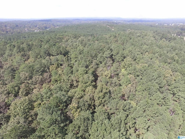 9138 Thermal Rd Unit 8, Warrior, AL 35180