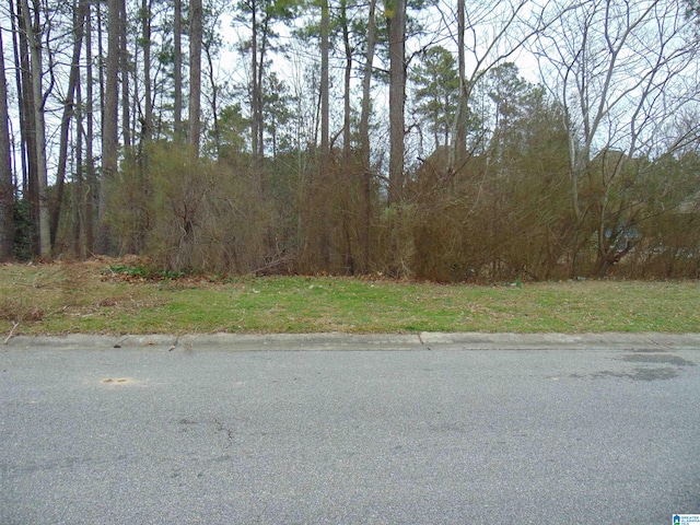 213 Grande View Cir Unit 637, Alabaster AL, 35114 land for sale