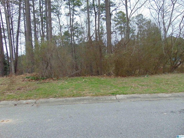 1208 Grande View Ln Unit 803, Alabaster AL, 35114 land for sale